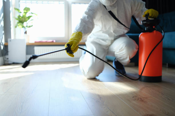 Trusted Unattended Death Cleanup service in Dover, FL - Four Month Blood Cleanse
